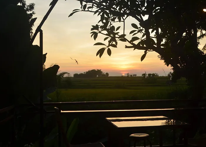 Lodge Sunset Shade